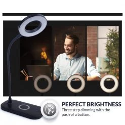 Zlata 12 in. Black Gooseneck Desk Lamp, Integrated LED Dimmable Reading Light for Home Nightstand with USB Charger by Newhouse Lighting 14 Zlata 12 in. Black Gooseneck Desk Lamp, Integrated LED Dimmable Reading Light for Home Nightstand with USB Charger by Newhouse Lighting -Heath Zenith Shop black newhouse lighting desk lamps nhdk zl bk a0 1000