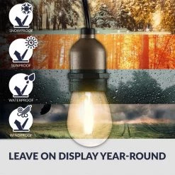 Outdoor 48 ft. Plug-in S14 Edison Bulb String Light with 16 E26 LED Filament Light Bulbs, Weatherproof, 1-Watt, 2700K by Newhouse Lighting -Heath Zenith Shop black newhouse lighting string lights cstringled18 44 1000
