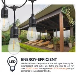Outdoor 48 ft. Plug-In Edison Bulb LED Smart App-Enabled String Light, Dimmable, E26,2700K, 16-Light Bulbs Included by Newhouse Lighting -Heath Zenith Shop clear newhouse lighting string lights smstring15 4f 1000