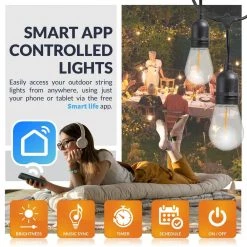 Outdoor 48 ft. Plug-In Edison Bulb LED Smart App-Enabled String Light, Dimmable, E26,2700K, 16-Light Bulbs Included by Newhouse Lighting -Heath Zenith Shop clear newhouse lighting string lights smstring15 66 1000