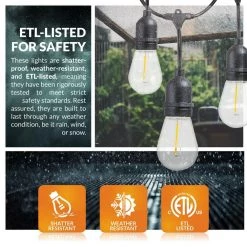 Outdoor 48 ft. Plug-In Edison Bulb LED Smart App-Enabled String Light, Dimmable, E26,2700K, 16-Light Bulbs Included by Newhouse Lighting -Heath Zenith Shop clear newhouse lighting string lights smstring15 77 1000