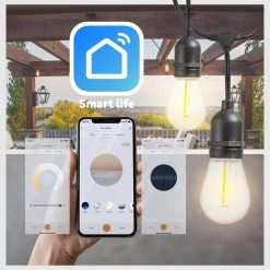 Outdoor 48 ft. Plug-In Edison Bulb LED Smart App-Enabled String Light, Dimmable, E26,2700K, 16-Light Bulbs Included by Newhouse Lighting -Heath Zenith Shop clear newhouse lighting string lights smstring15 a0 1000