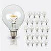 11-Watt Equivalent G40 Globe LED Replacement Light Bulbs for Outdoor String Lights 2700K Warm White (25-Pack) by Newhouse Lighting -Heath Zenith Shop newhouse lighting led light bulbs g40led25 64 1000